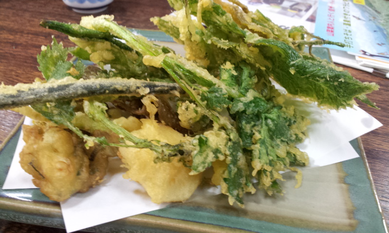 長野県小谷村で14種類の山菜天ぷらが出てきた 全国の加工特産品の開発や販売の活動の公開